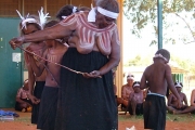 Warlukurlangu Artists, Yuendumu, NT - ceremony body painting