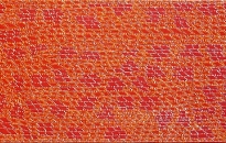 yuendumu-dorothy-4724/10