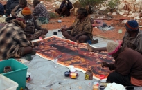 Warakurna-Women Collaborative Painting-2010-14