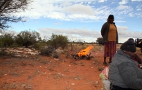 Warakurna-Women Collaborative Painting-2010-7