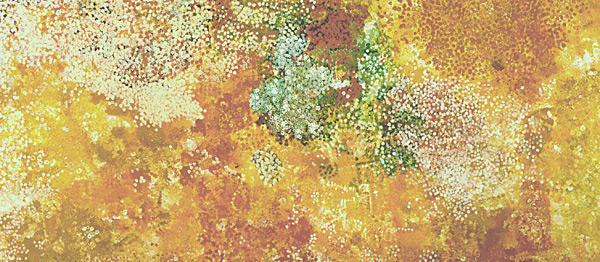 Emily Kame Kngwarreye